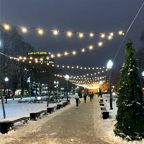 Белт-лайт, 2-х проводной, между лампами 20 см, патрон-резина (250 шт), 220 В, Белый провод